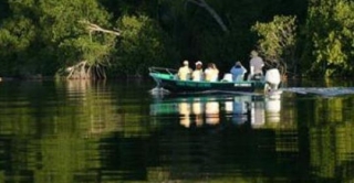 Paseo en barco por manglaternera